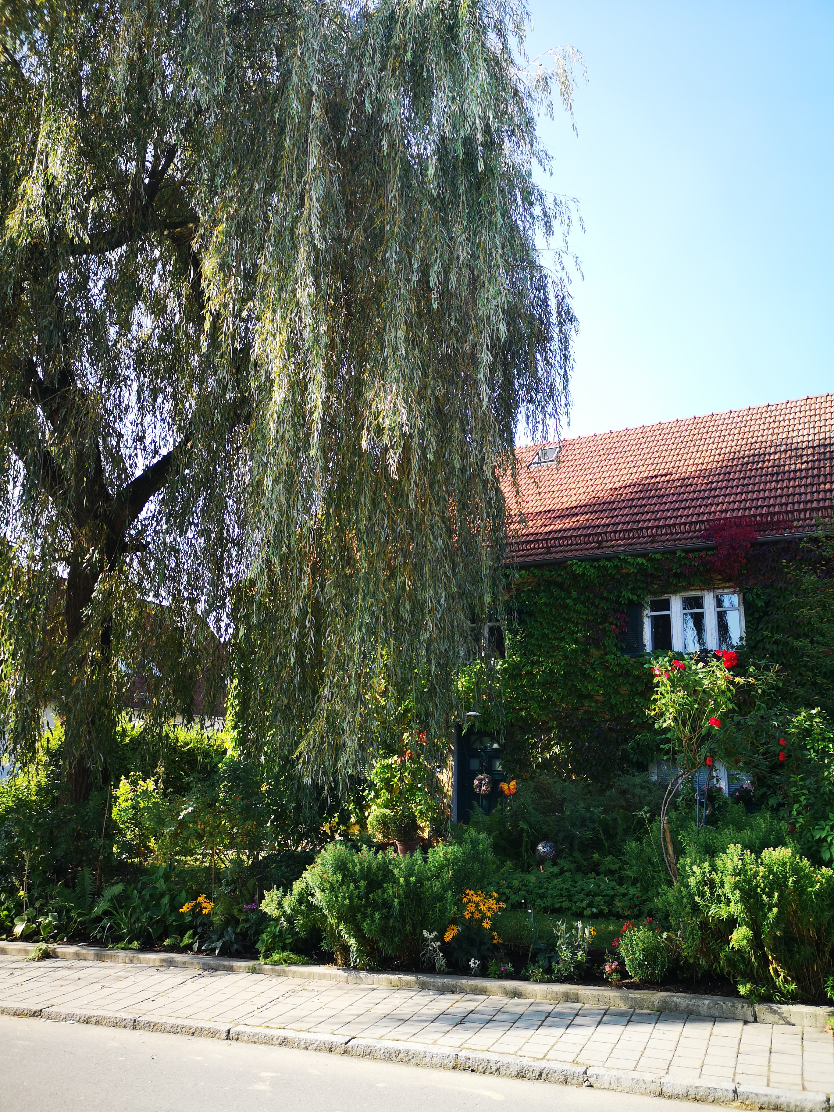 Vortrag „Klimagarten – Eine grüne Oase trotz Trockenheit“ am 27.2. im Gemeinschaftshaus Unterumbach