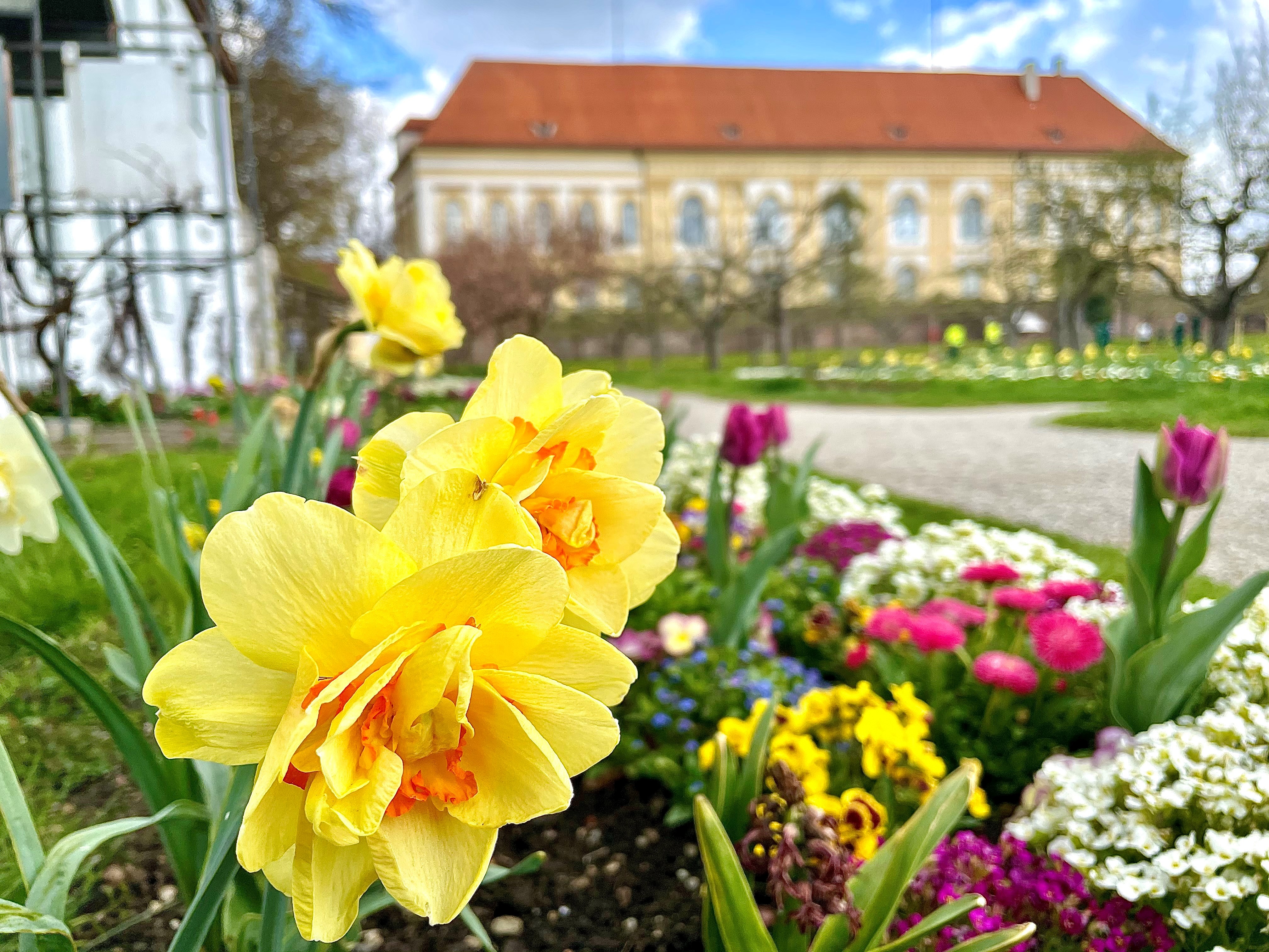Schloss Blumen
