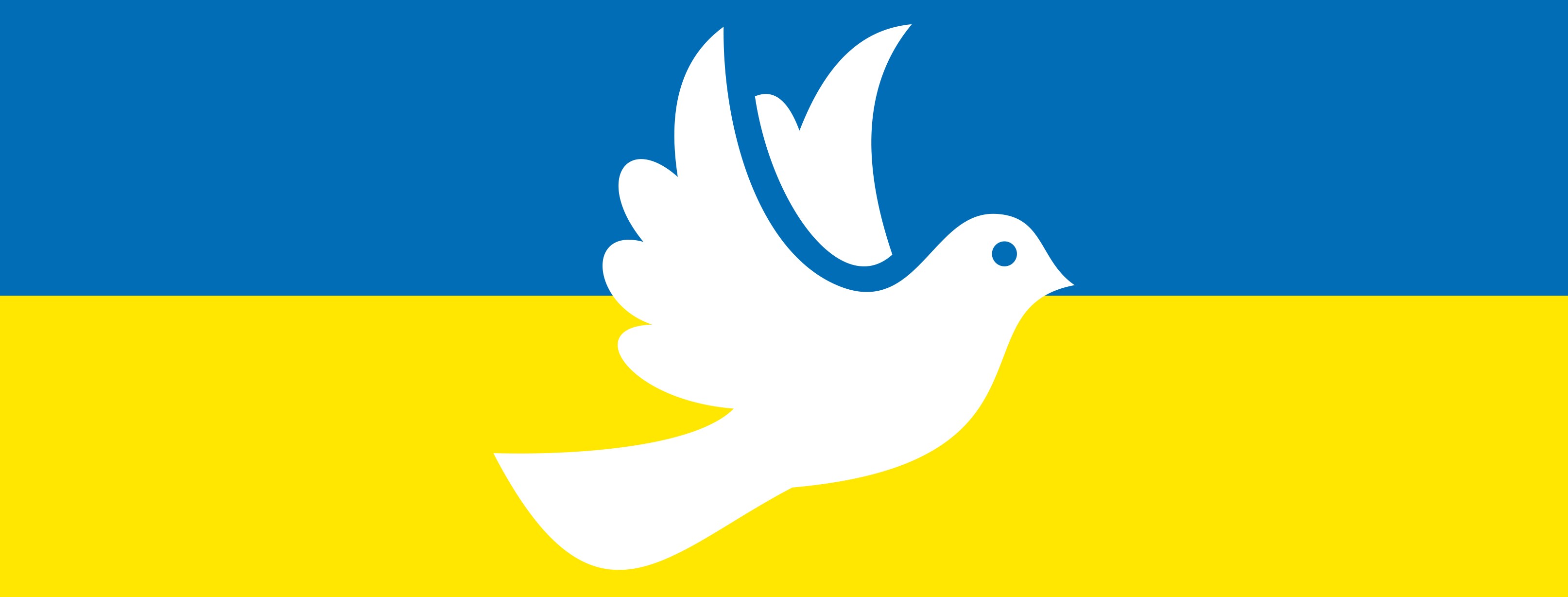 Spenden für Oswiecim: Solidarität mit ukrainischen Geflüchteten im Partnerlandkreis
