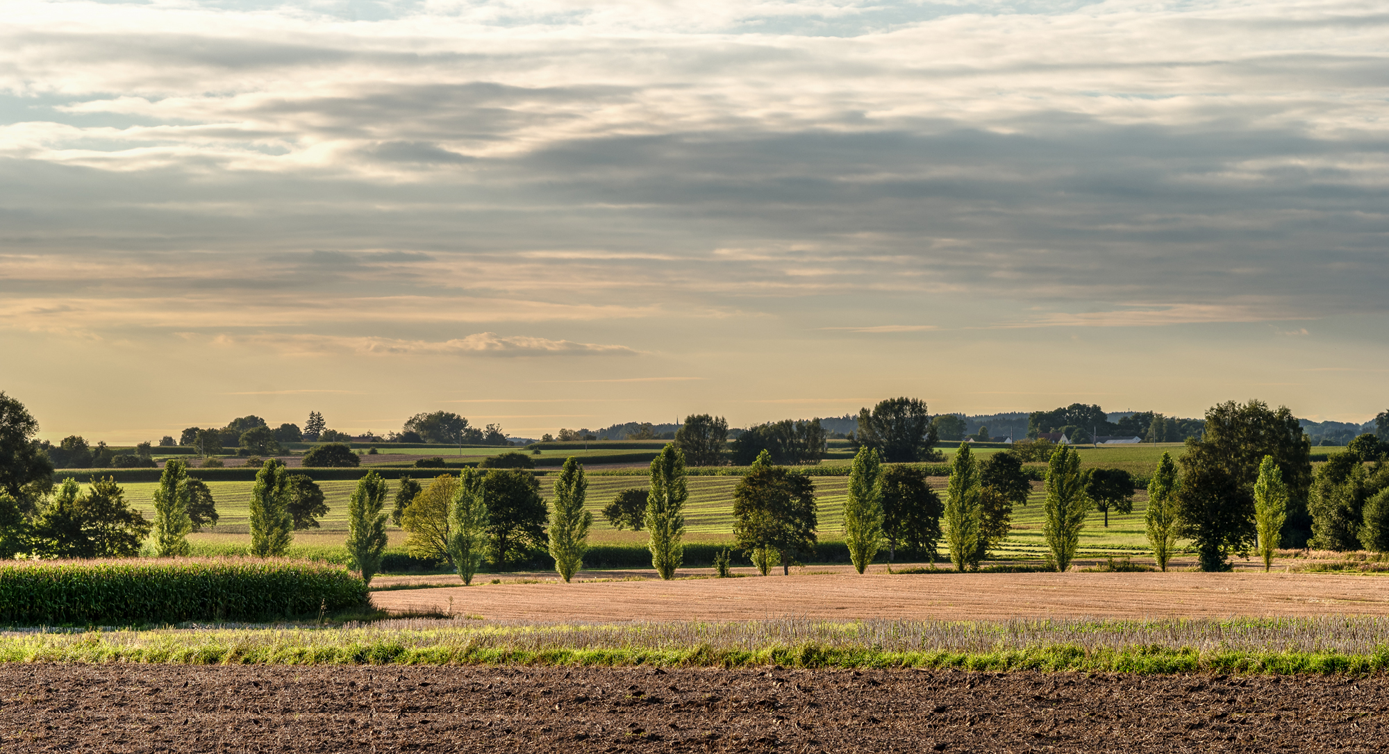 Ausblick bei Sigmertshausen