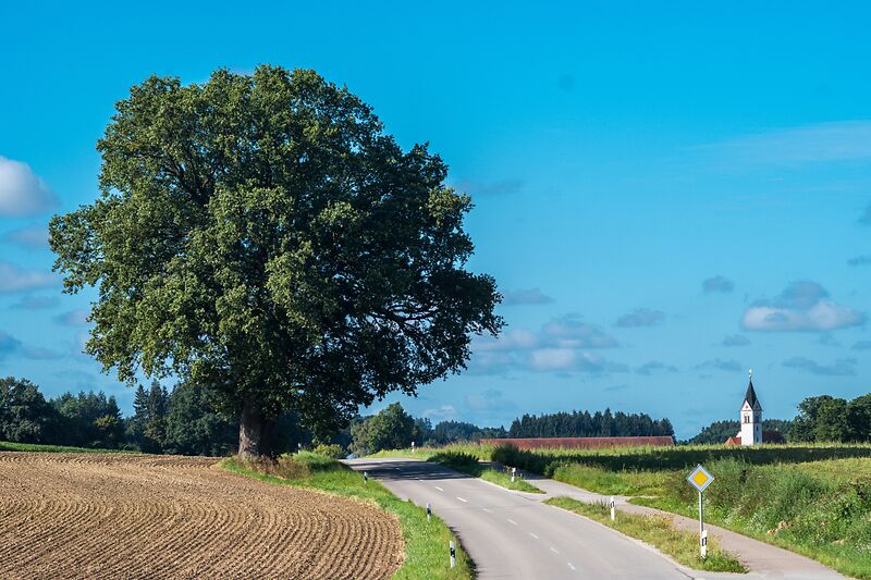 Grün- und Gehölzpflege