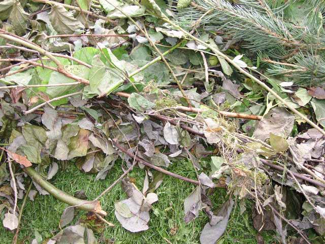 Gartenabfallcontainer in Dachau am 20./21. Oktober 