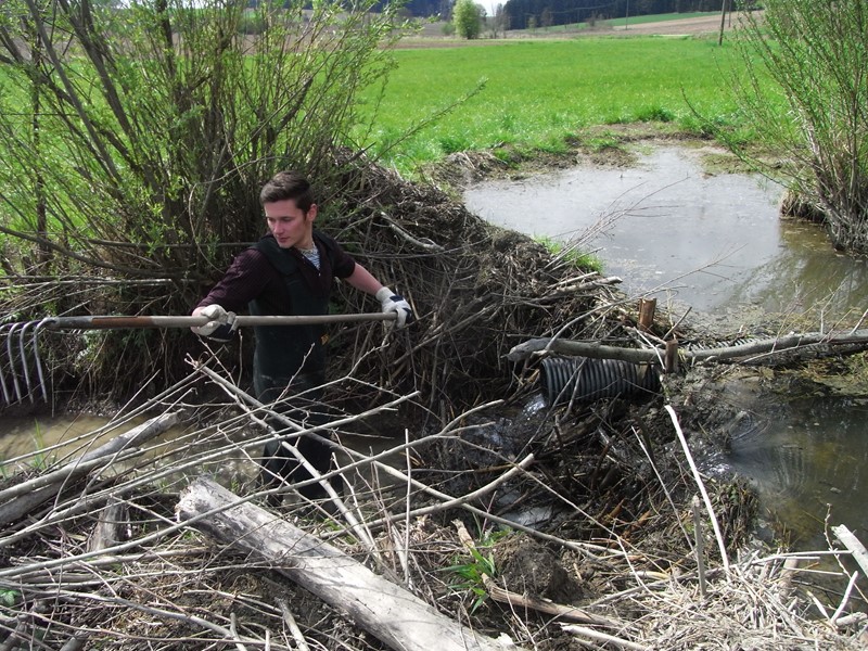 Freiwilliges Ökologisches Jahr (FÖJ) bei der Unteren Naturschutzbehörde - Landratsamt sucht noch Interessenten