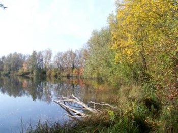 Herbst am Biotopsee in Karlsfeld.jpg