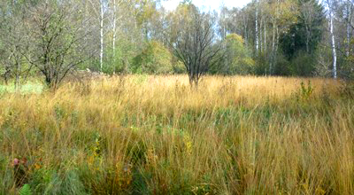 Vertragsnaturschutz & Förderprogramme