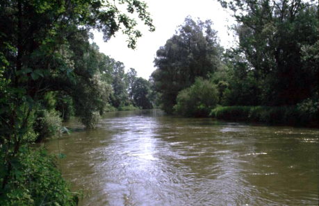 Überschwemmungsgebiete im Landkreis