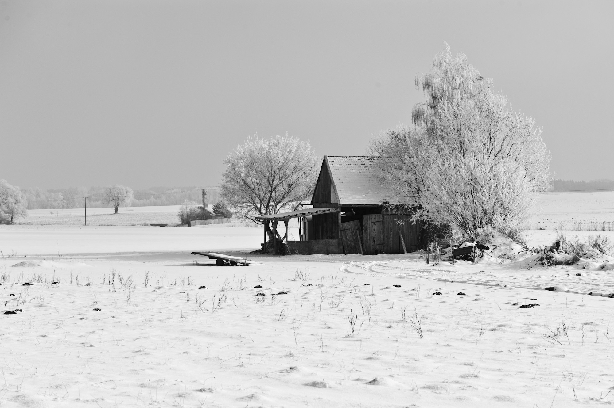 Erfolgreiche Aktion: HIV Testbus im Landkreis Dachau, 07.12.2023 ...