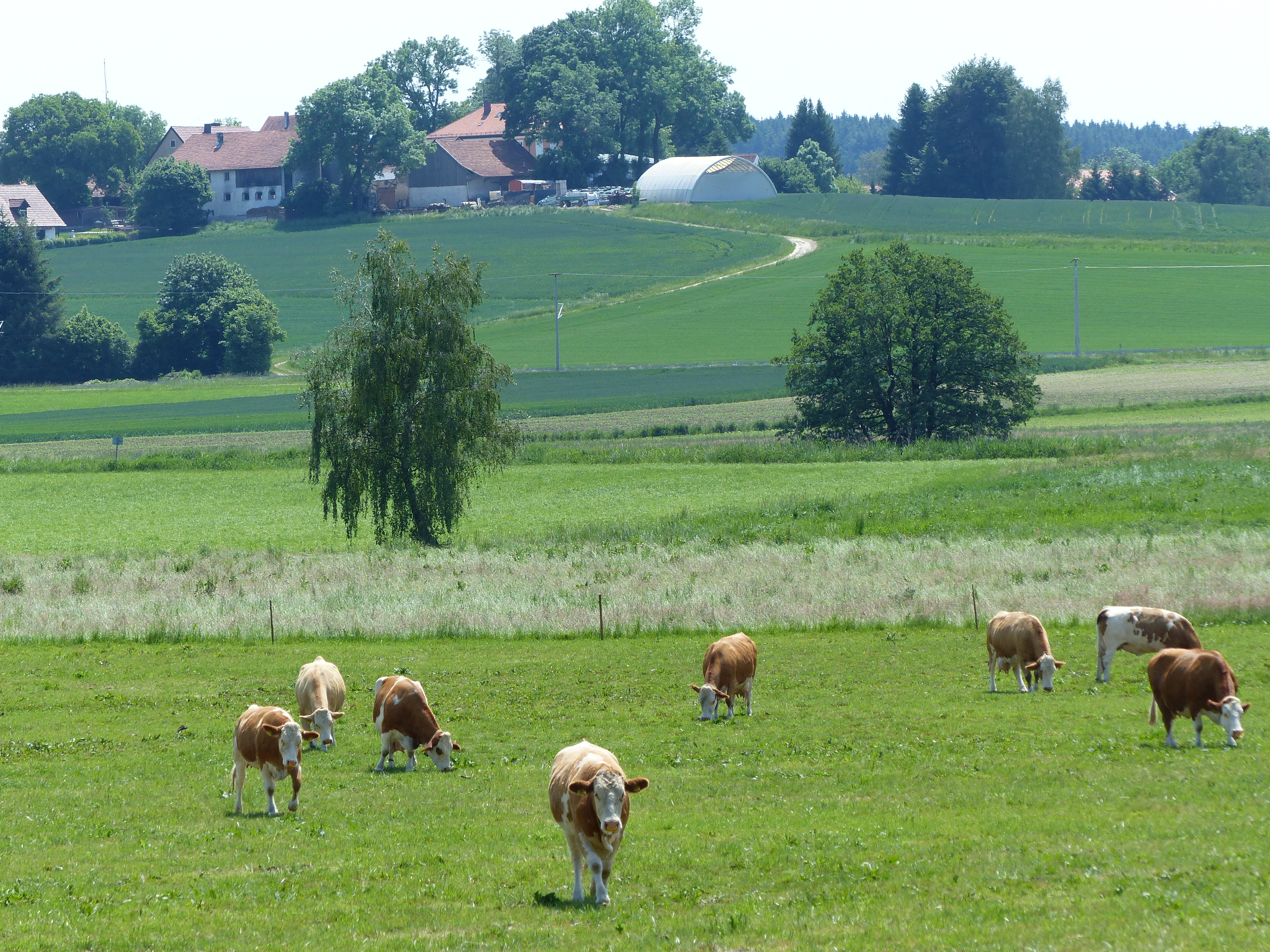 Leider haben wir keinen Alternativtext zu diesem Bild, aber wir arbeiten daran.