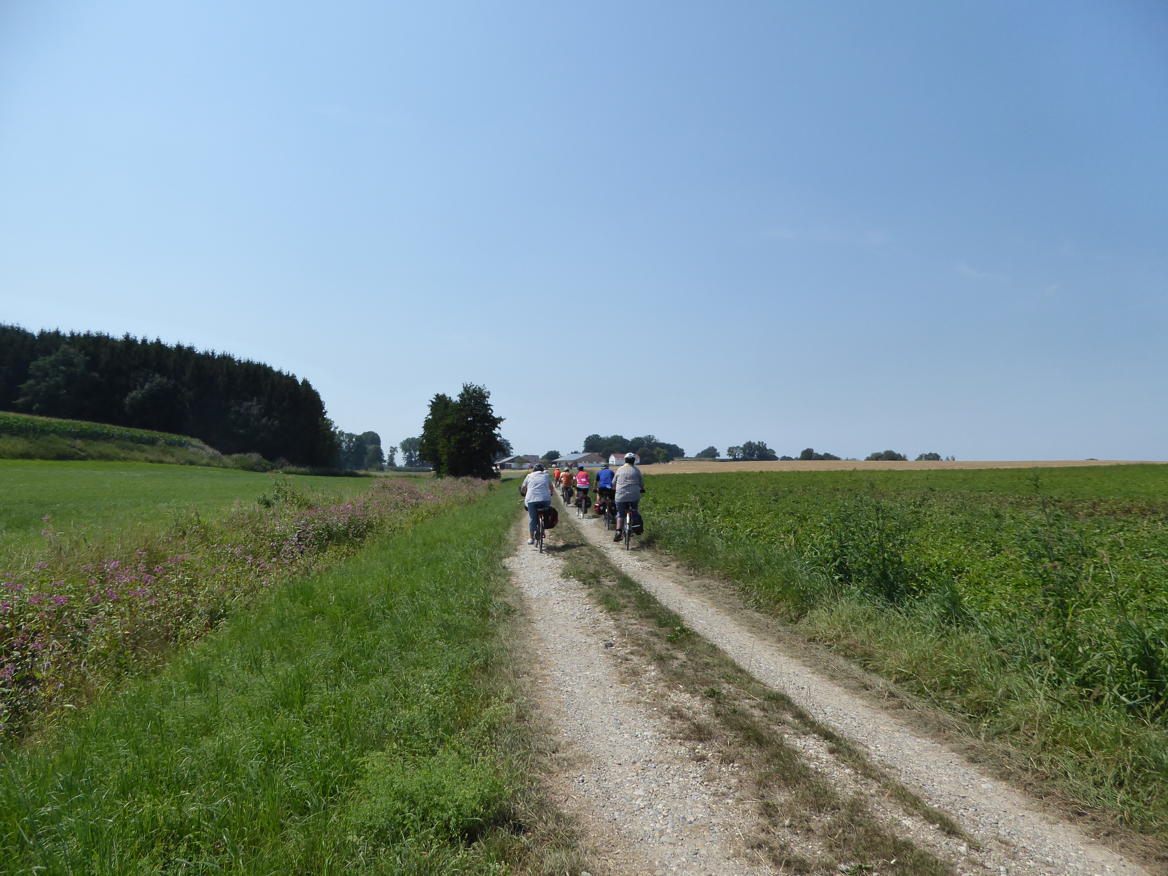 Fahrradtour unter dem Motto „Der Landkreis summt“