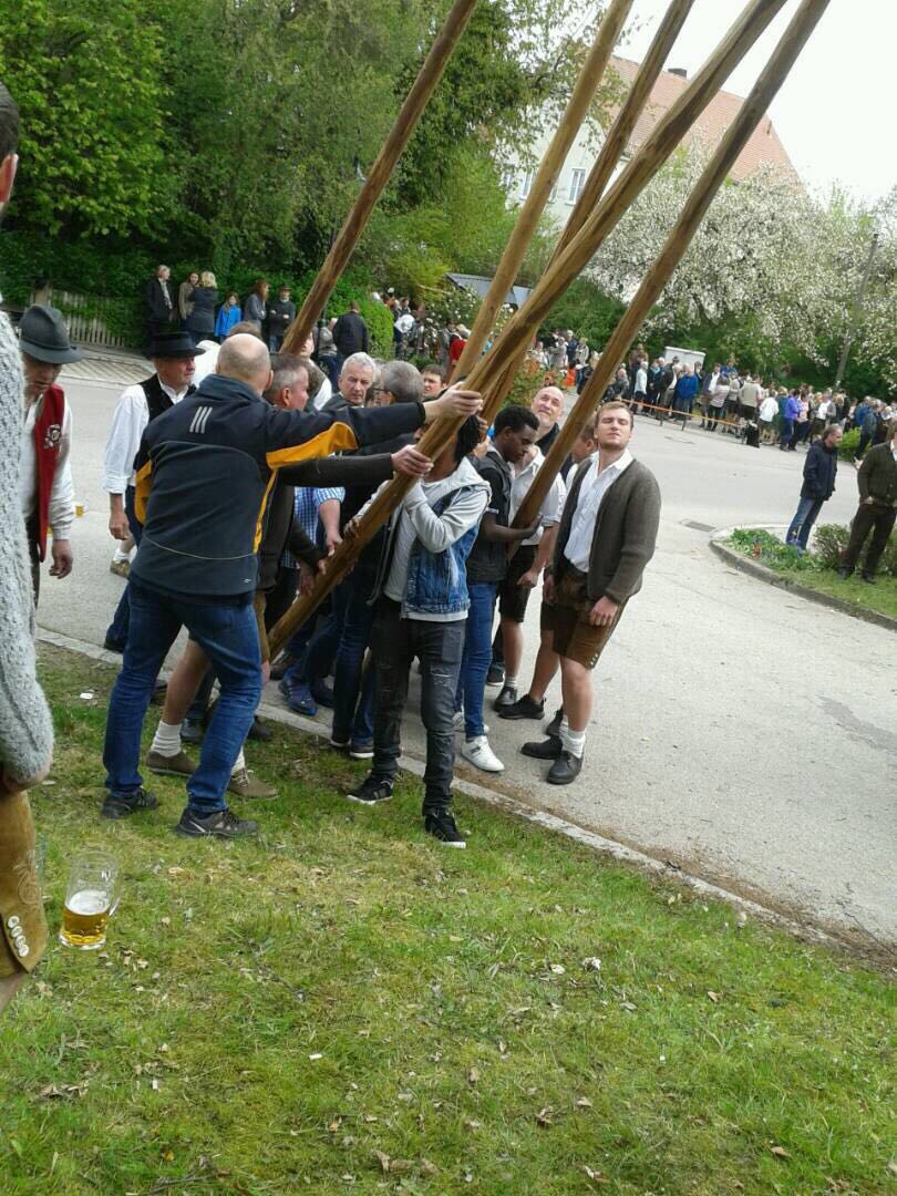 Mai 2017: Gemeinsam mit Bürgern, Vereinsmitgliedern und Trachtlern aus Altomünster stellen junge Männer mit Fluchthintergrund, die neu Gemeindegebiet wohnen den Maibaum auf. Die Männer haben lange Stangen in den Händen, sogenannter Schwalben. Damit drücken die Burschen den Maibaum hoch.Das Maibaum aufstellen geschieht traditionell mithilfe dieser Stangen. Alle helfen mit.