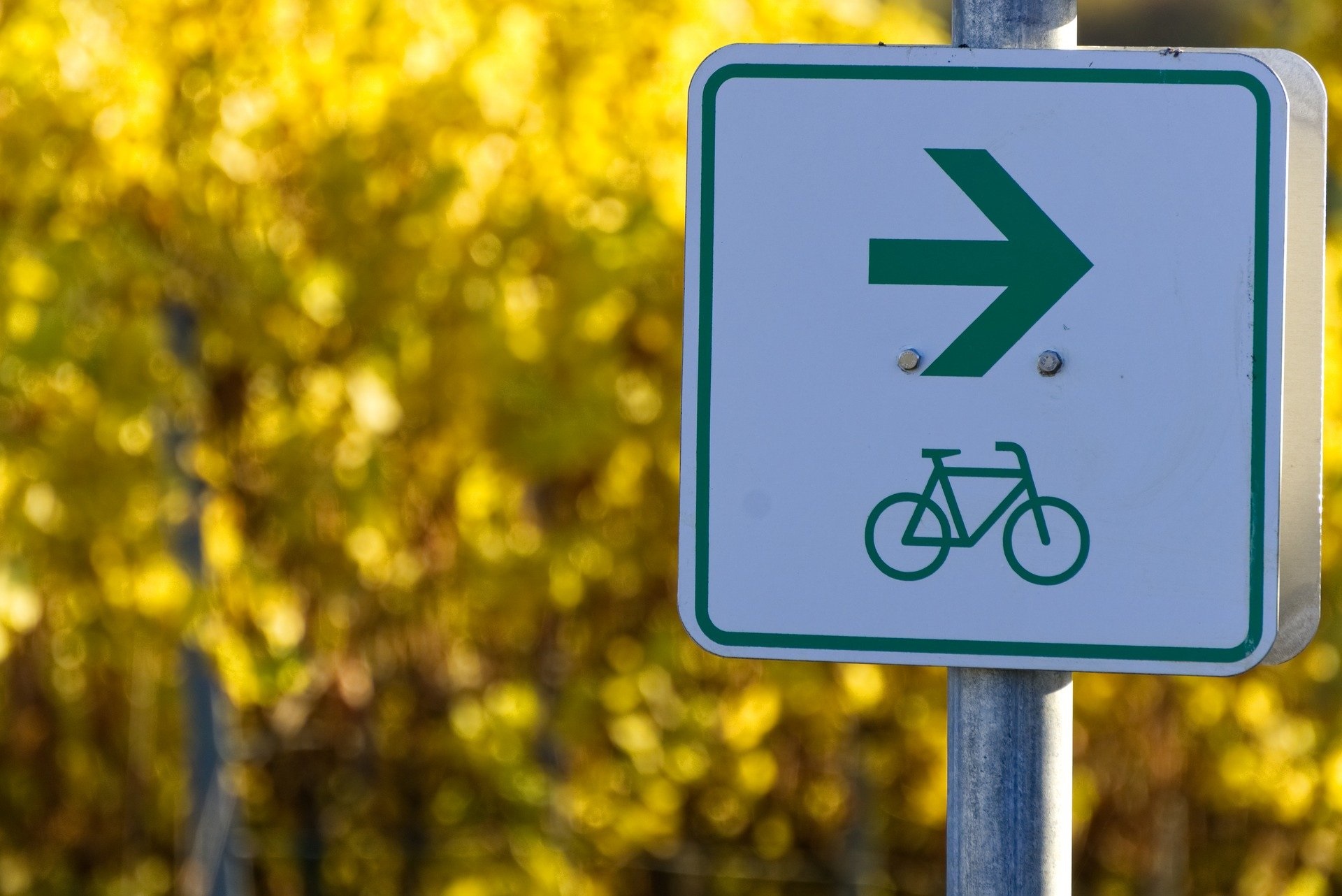 Förderung des Radverkehrs beschlossen: Bayerische ADFC Vorsitzende Felsch gratuliert Landrat Stefan Löwl und Landtagsabgeordneten Bernhard Seidenath