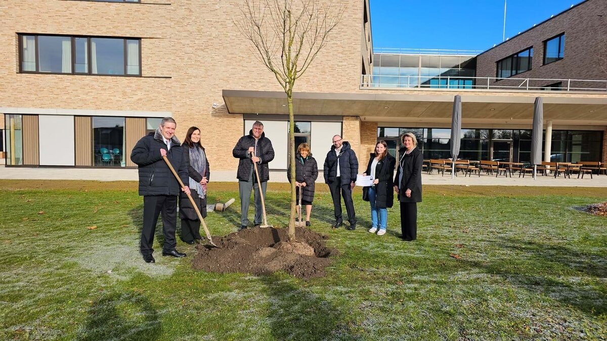 Widmung Baum Knobloch