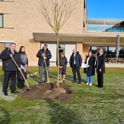 Bild vergr&ouml;&szlig;ern: Widmung Baum Knobloch