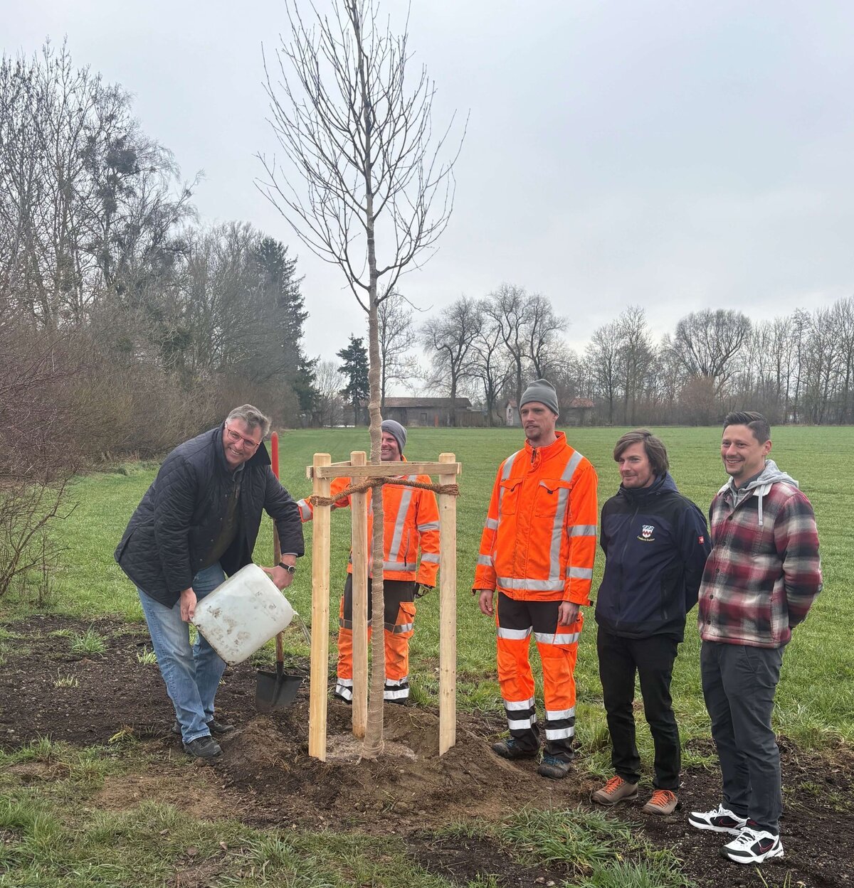 Landrat Stefan Löwl gemeinsam mit Stefan Grimm, Umweltbeauftragter der Gemeinde Karlsfeld, Sebastian Helmer, Naturschutzfachkraft der unteren Naturschutzbehörde und Mitarbeitern des Bauhofs Karlsfeld beim Angießen der neuen Birken