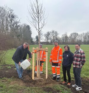 Bild vergr&ouml;&szlig;ern: Landrat Stefan Löwl gemeinsam mit Stefan Grimm, Umweltbeauftragter der Gemeinde Karlsfeld, Sebastian Helmer, Naturschutzfachkraft der unteren Naturschutzbehörde und Mitarbeitern des Bauhofs Karlsfeld beim Angießen der neuen Birken