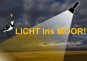 Bild vergr&ouml;&szlig;ern: Taschenlampe leuchtet über eine Moorlandschaft.