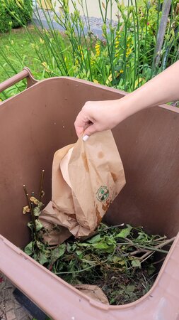 Biomüll wird in Papiertüte in die Biotonne gelegt