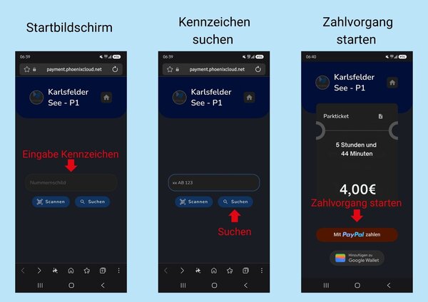 Bild vergr&ouml;&szlig;ern: Vorgehensweise der Zahlung mit PayPal