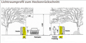 Bild vergr&ouml;&szlig;ern: Graphische Darstellung wie Bäume, Hecken und Sträucher beschnitten werden müssen