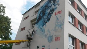 Bild vergr&ouml;&szlig;ern: Zappa