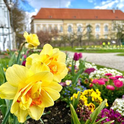 Bild vergr&ouml;&szlig;ern: Schloss mit Blumenbeet