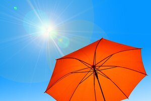 Bild vergr&ouml;&szlig;ern: Sommer