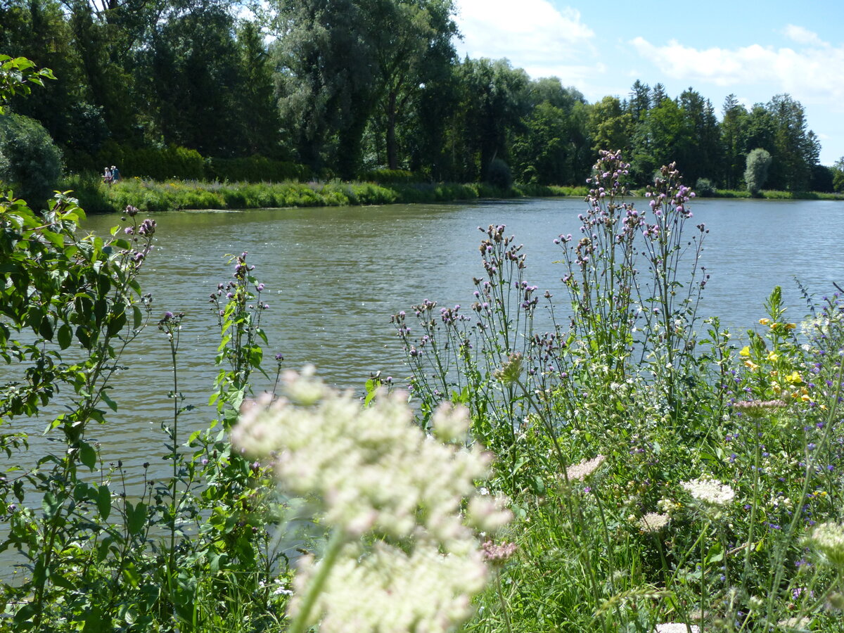 Amper Hochwasser