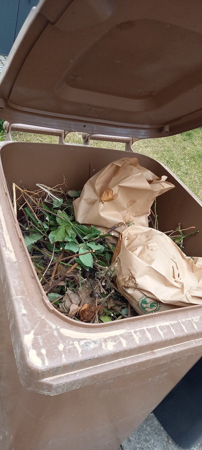 Mit Gartenabfällen und Biomüll befüllte Biotonne