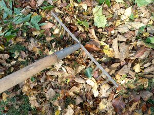 Bild vergr&ouml;&szlig;ern: Herbstliches Laub