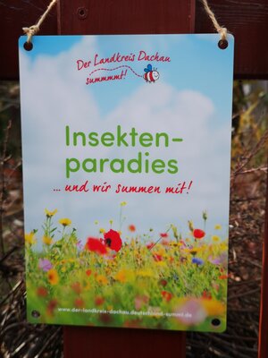 Bild vergr&ouml;&szlig;ern: Insektenparadies