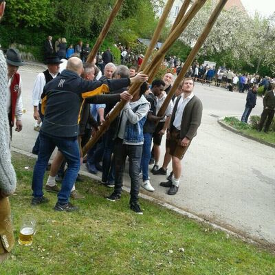 Bild vergr&ouml;&szlig;ern: Maibaumaufstellen Mai 2017 in Altomüster