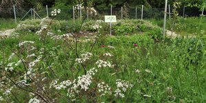 Bild vergr&ouml;&szlig;ern: Kreislehrgarten Rettenbach