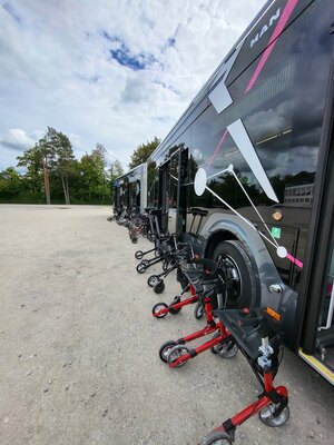 Bild vergr&ouml;&szlig;ern: Bustraining-2