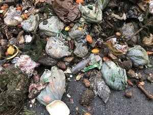 Biomüllsammlung mit Plastik- und Biokunststofftüten