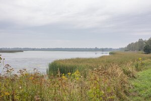 Bild vergr&ouml;&szlig;ern: Karpfental