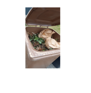 Mit Gartenabfällen und Biomüll gefüllte Biotonne