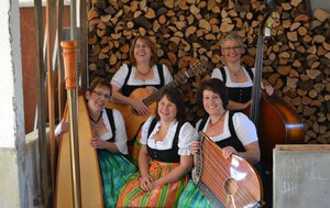 Bild vergr&ouml;&szlig;ern: Walkertshofer Stubnmusi